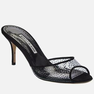 Manolo Blahnik Jadifa Clear Stiletto Mule